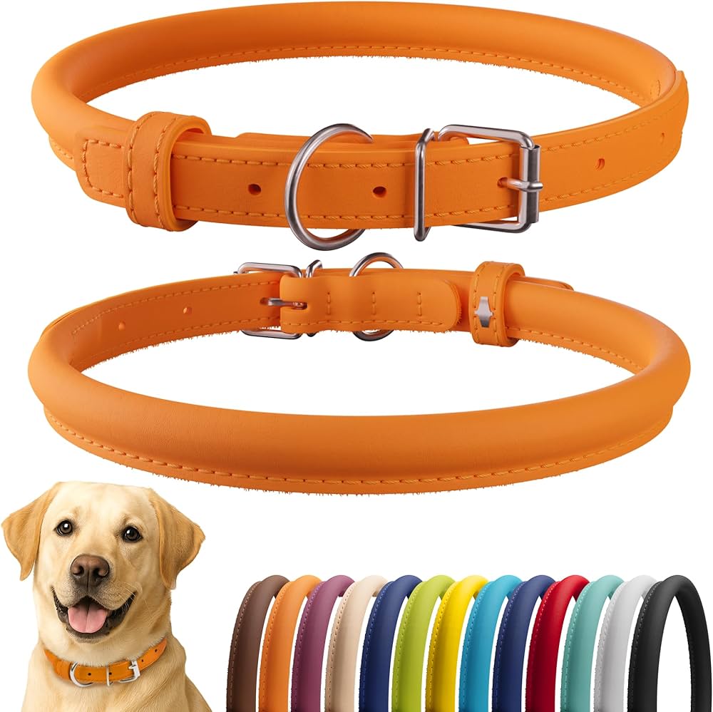 Collar Para Perro Delgado