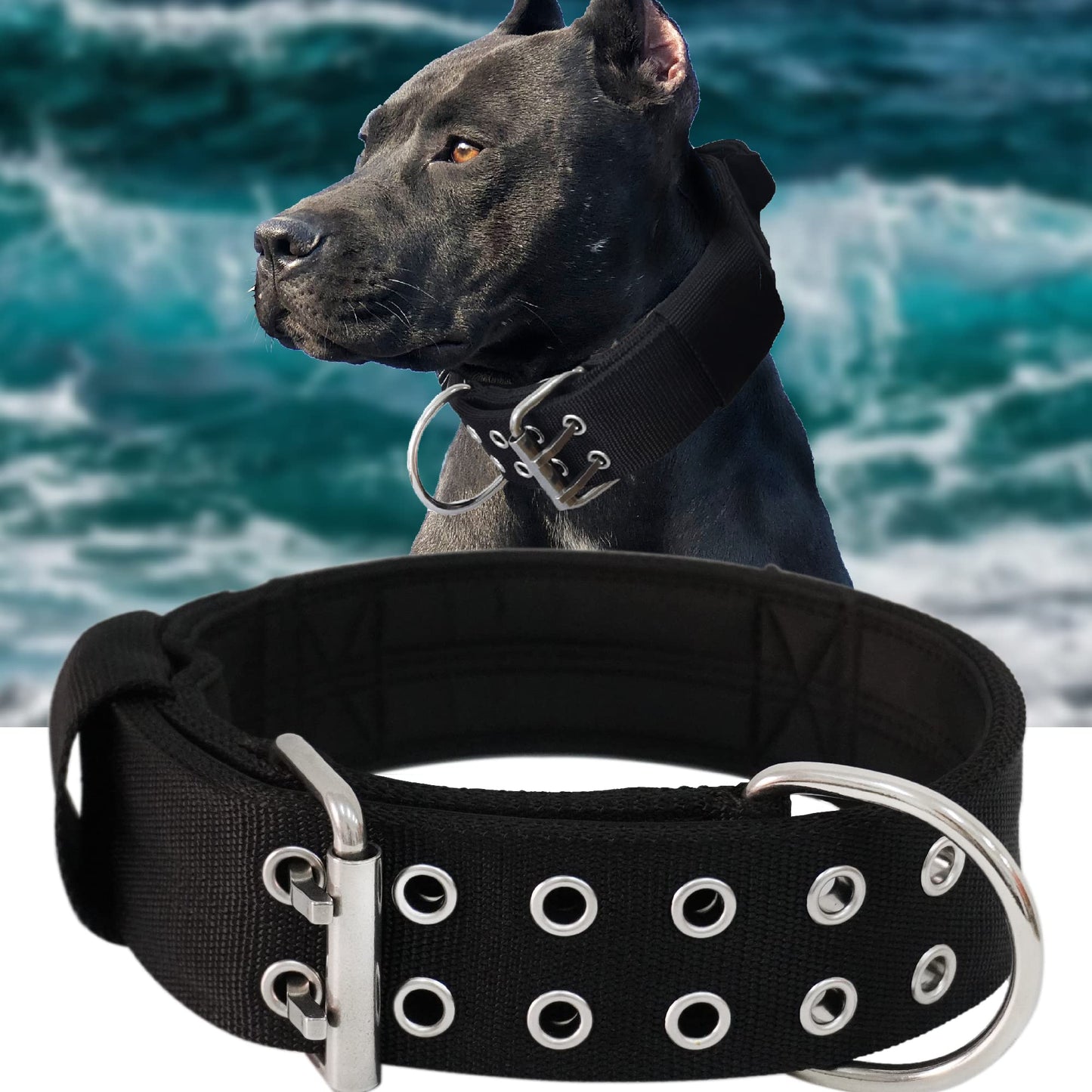 Collar Para Perro Negro