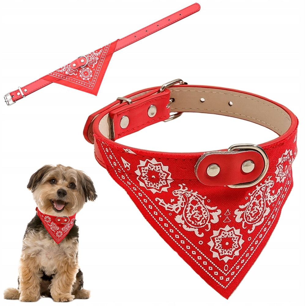 Collar Paliacate