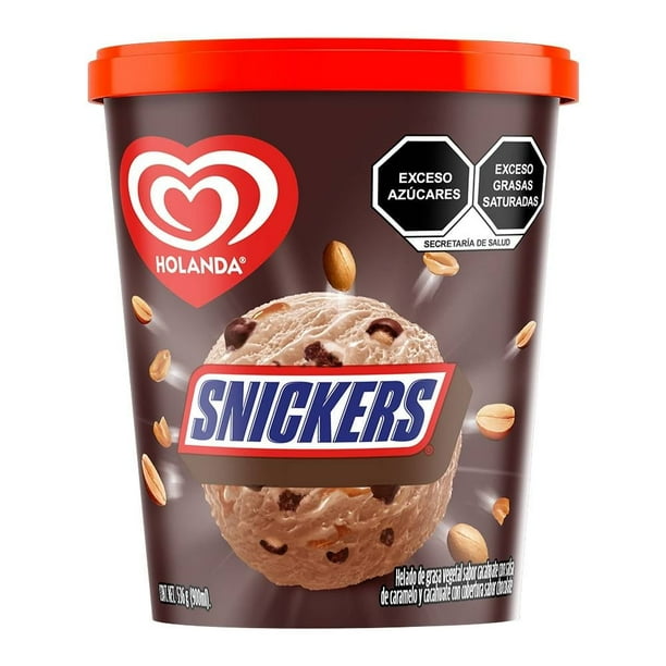 Snickers 282 G Helado Holanda