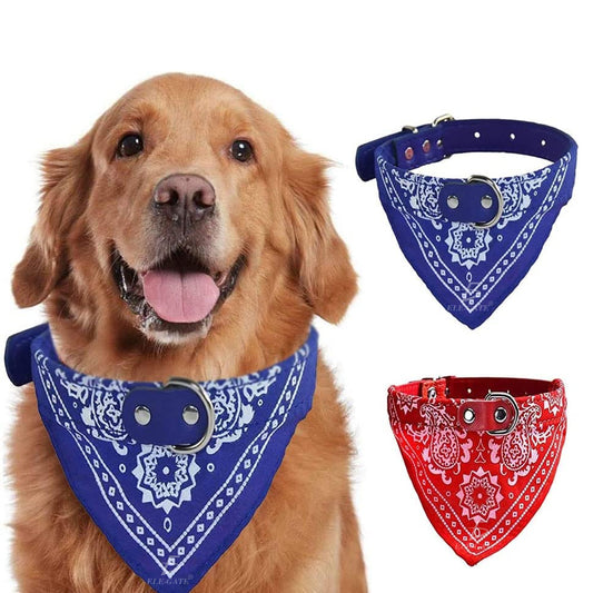 Collar Paliacate