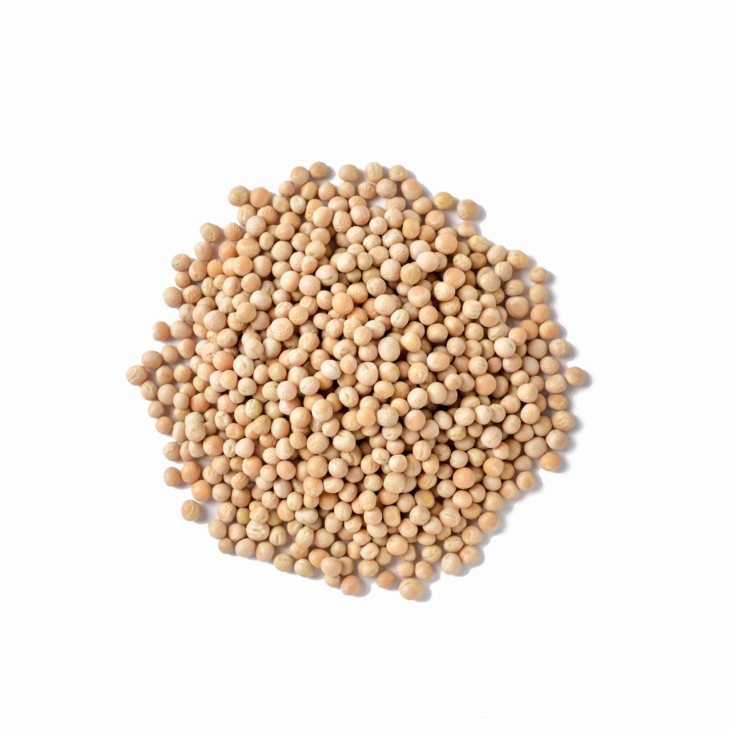 Alberjon 1 Kg