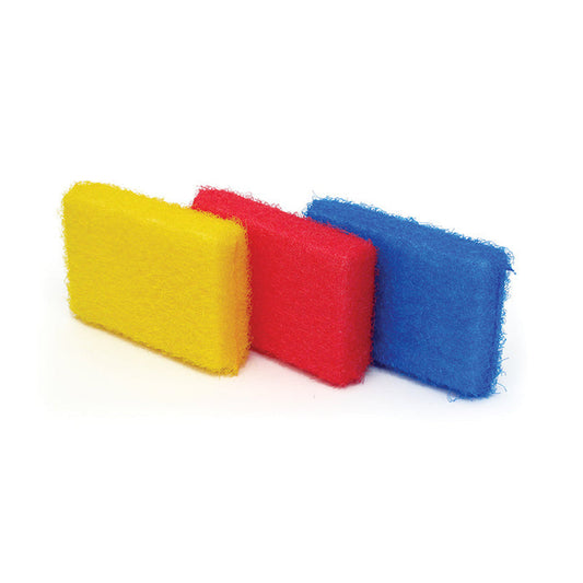 Esponja de Color Chica