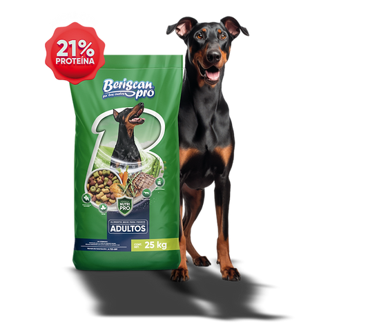 Perro Beriscan Adulto 1 kg Croquetas para Perro