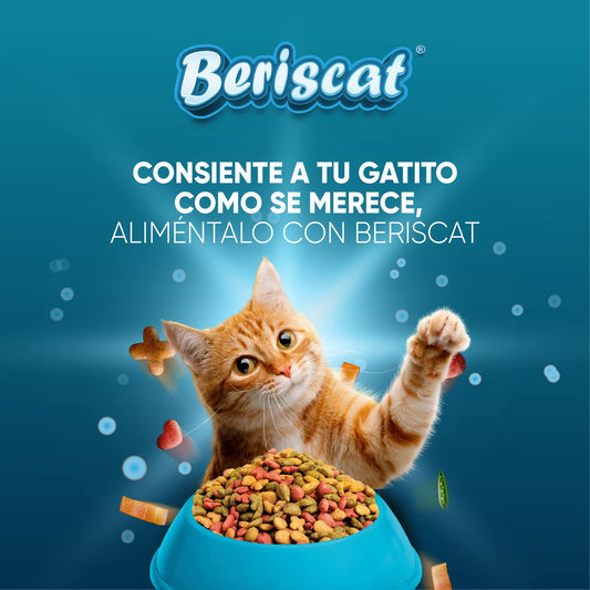 Gato Beriscan Gato 1 kg Croquetas para Gato