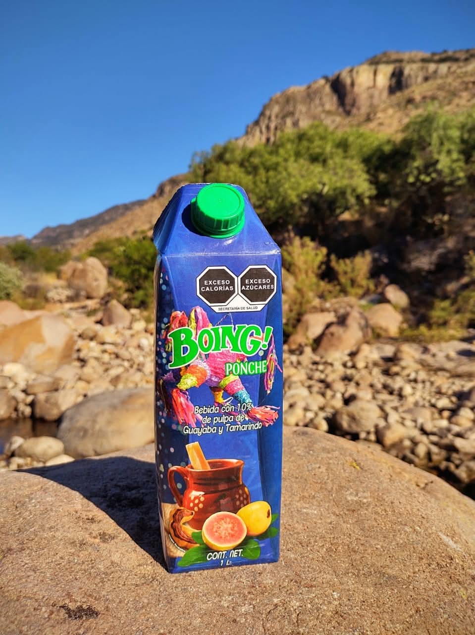Boing Bebida  Ponche 1 L Caja