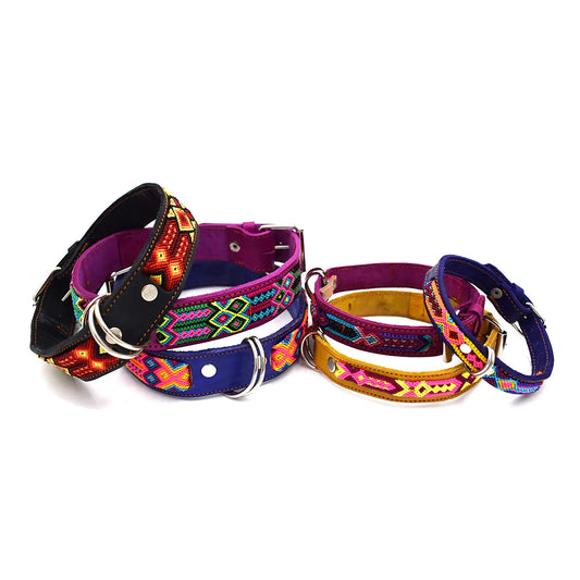 Collar Para Perro De Diseño
