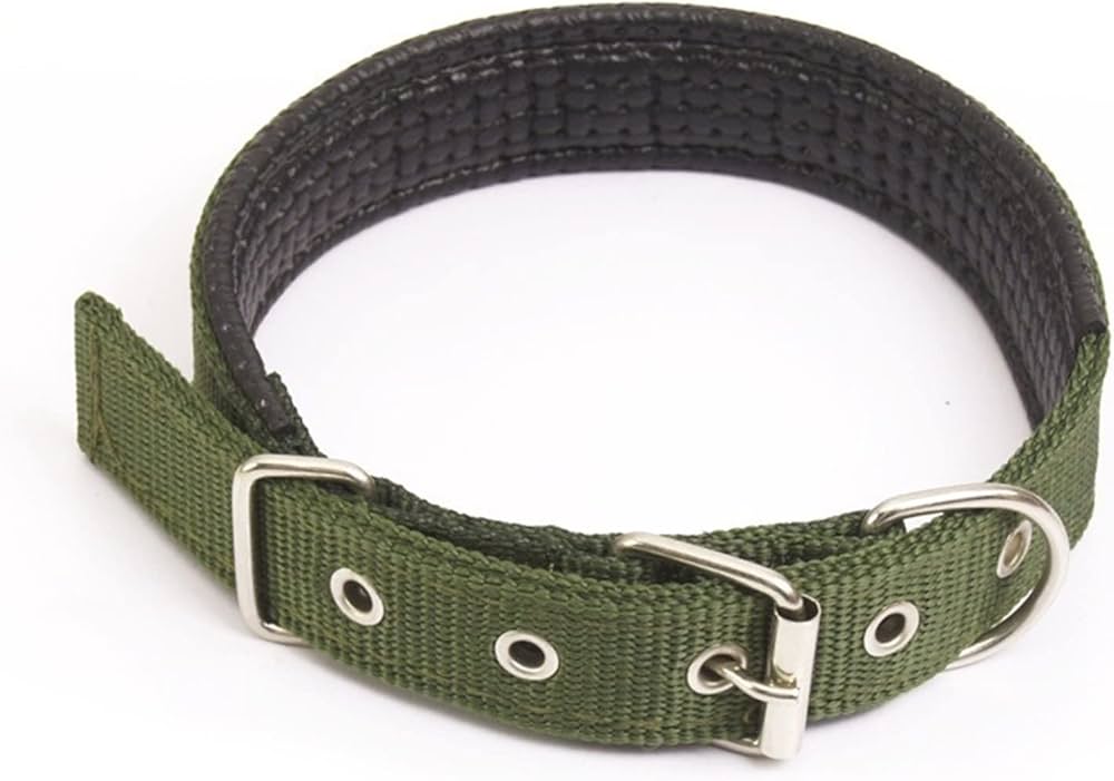 Collar Para Perro